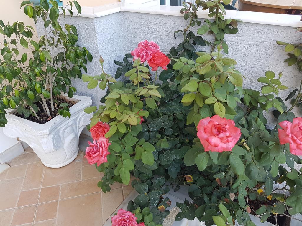 Xani Apartamento
