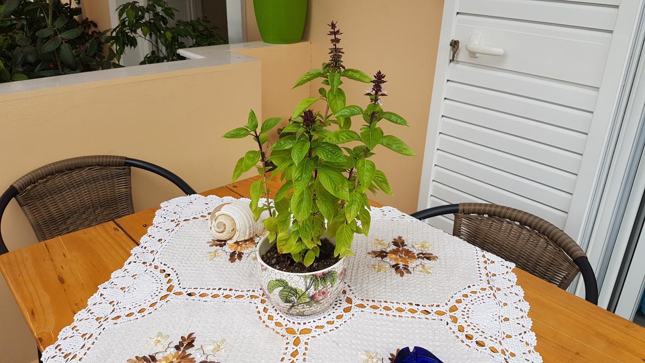 Xani Appartement